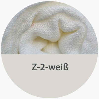 csd-z-2-weiss75E73A5C-18FE-75A4-86AC-5D0542D06AB6.jpg