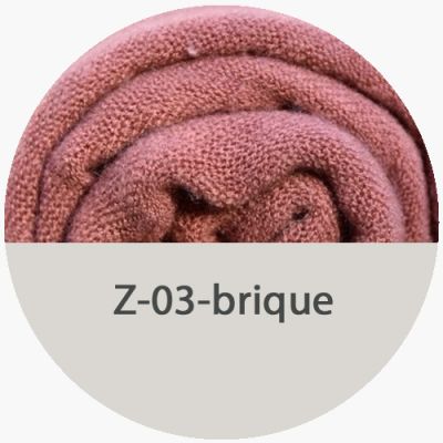csd-z-3-briqueC5DE5868-9DDC-993C-4D87-71A0632561F9.jpg
