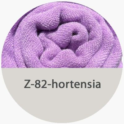 csd-z-82-hortensiaF2CFBFB7-B69C-A4D9-F415-279DF3B54CE8.jpg